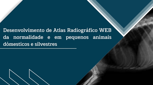 Sistema de Laudo de Ultrassonografia